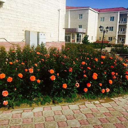 Hotel Ark Ms Taraz Kültér fotó